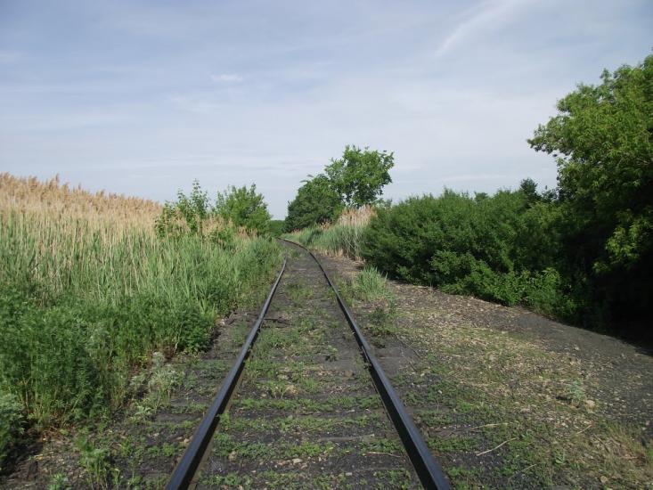 Олександрівка з panoramio.com - Oleksandrivka