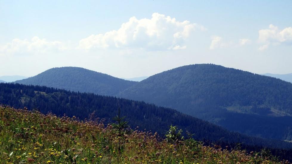 Верхня Рожанка з panoramio.com - Верхняя Рожанка