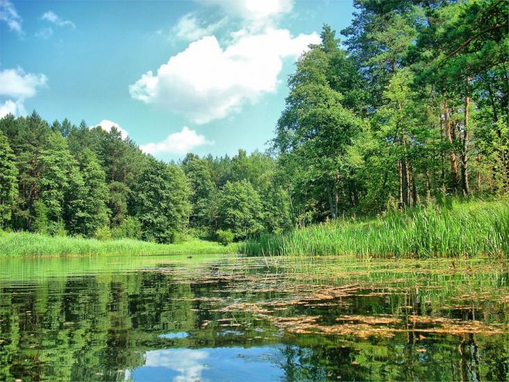 Березневе з panoramio.com - Березневе