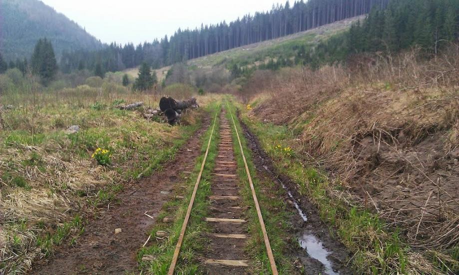 Вишків з panoramio.com - Vyshkiv
