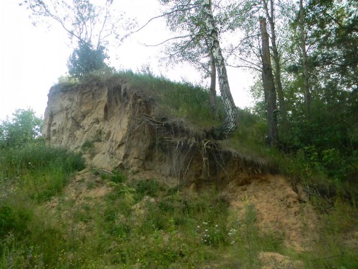 Городня з panoramio.com - Городня