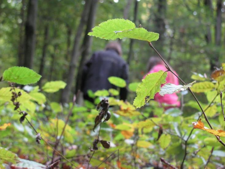 Кибаки з panoramio.com - Кибаки