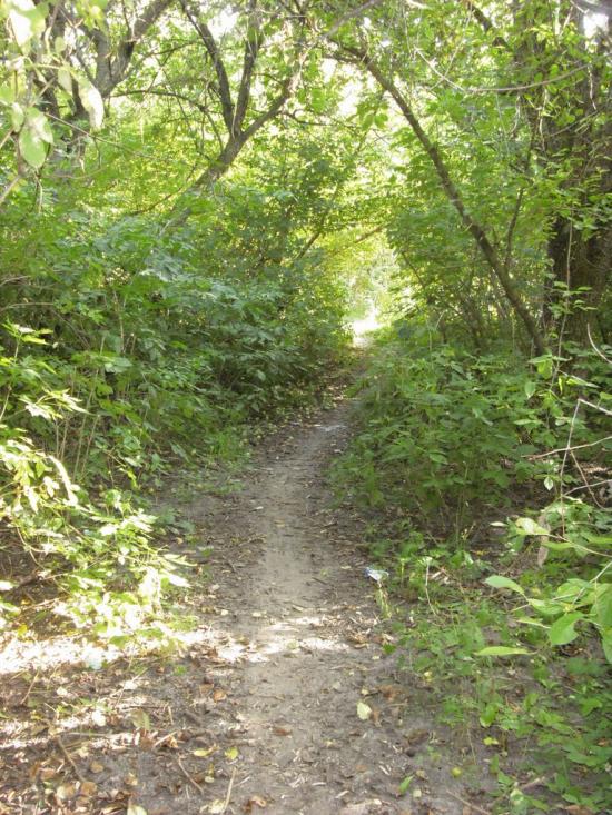 Чмикос з panoramio.com - Чмыкос