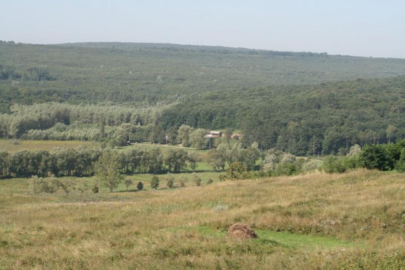 Тарасівці з panoramio.com - Тарасовцы