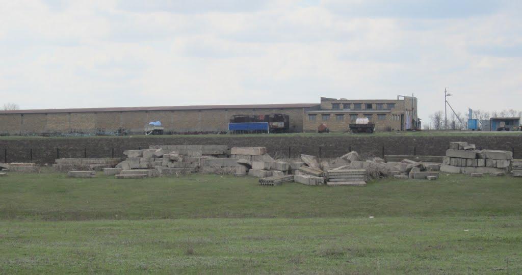 Базарове з panoramio.com - Базарово