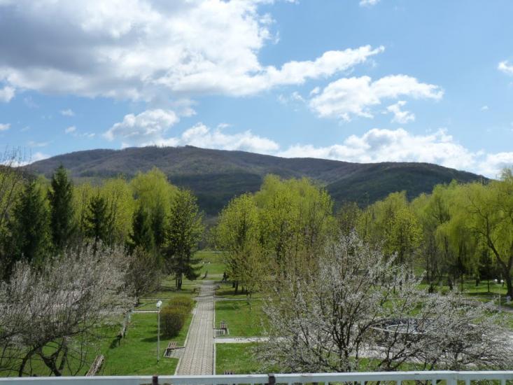 Виноградів з panoramio.com - Vynogradiv