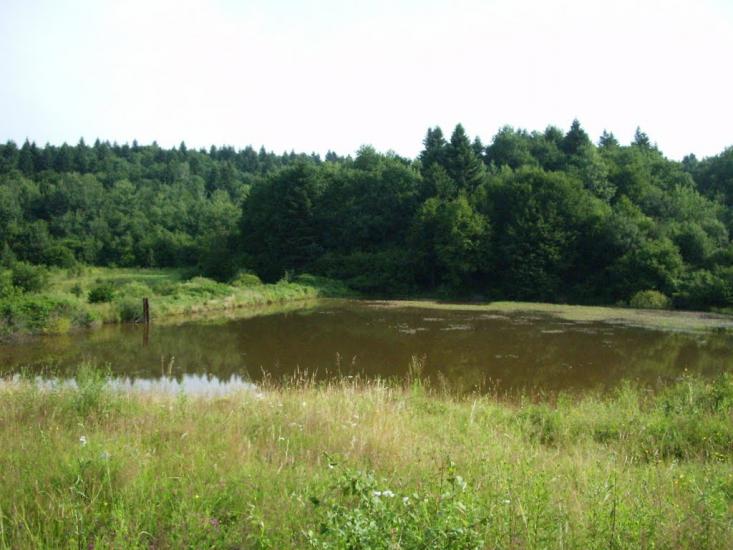 Райнова з panoramio.com - Районова