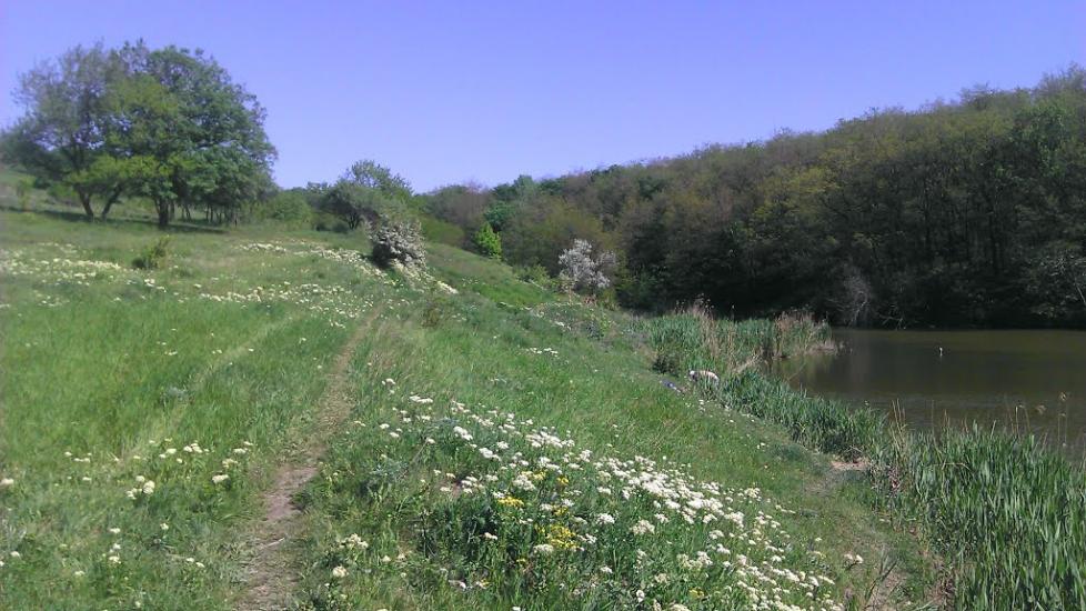 Золоте з panoramio.com - Золотое