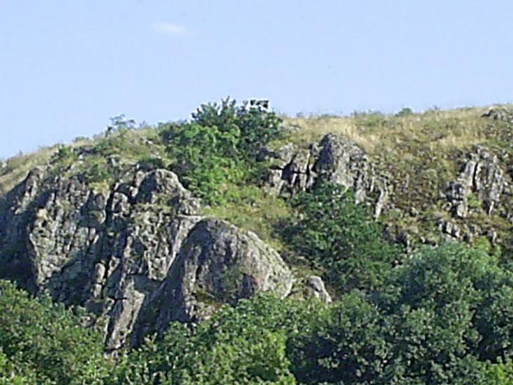 Куріпчине з panoramio.com - Kuripchyne