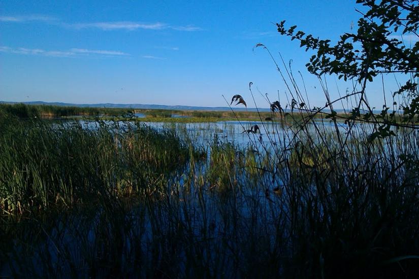 Нова Некрасівка з panoramio.com - Новая Некрасовка