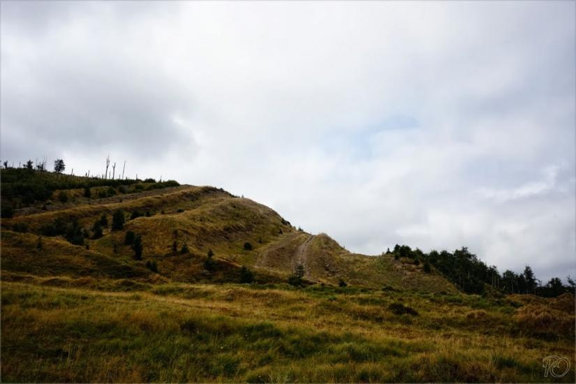 Тюшка з panoramio.com - Тюшка