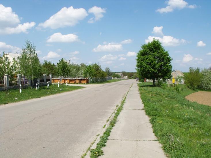 Тараща з panoramio.com - Тараща