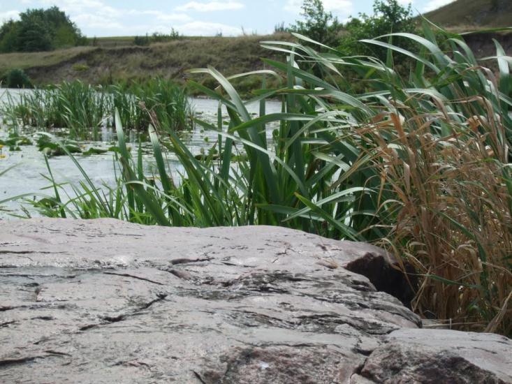 Рогізна з panoramio.com - Рогізна