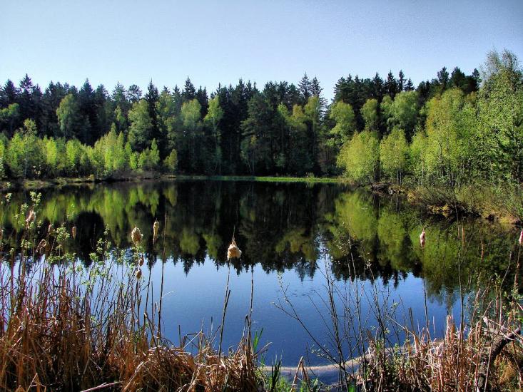 Миропіль з panoramio.com - Мирополь