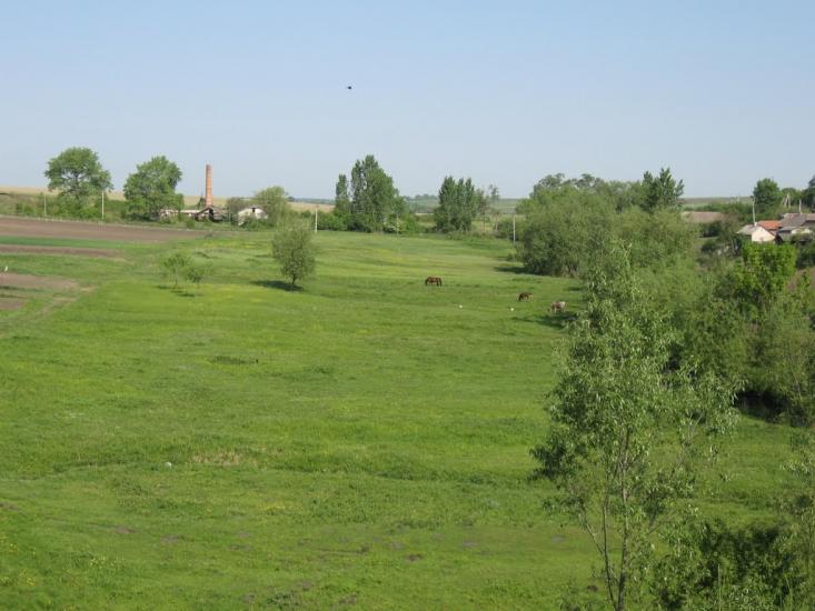 Товсте з panoramio.com - Толстое