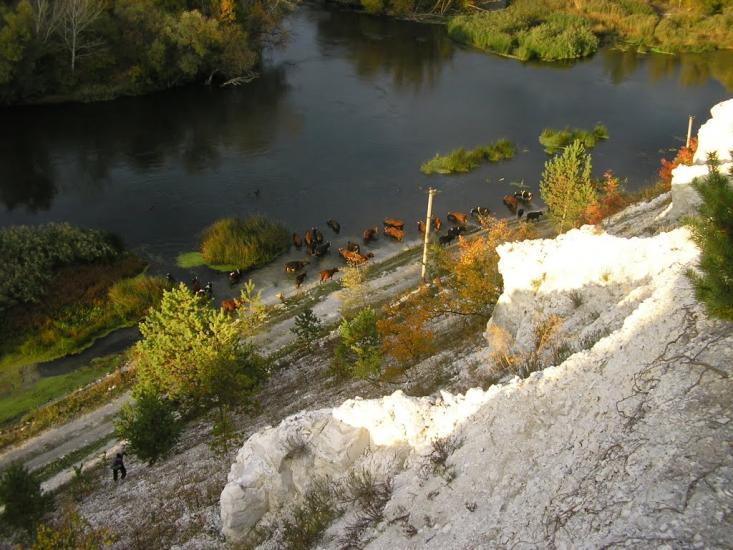 Крива Лука з panoramio.com - Крива Лука