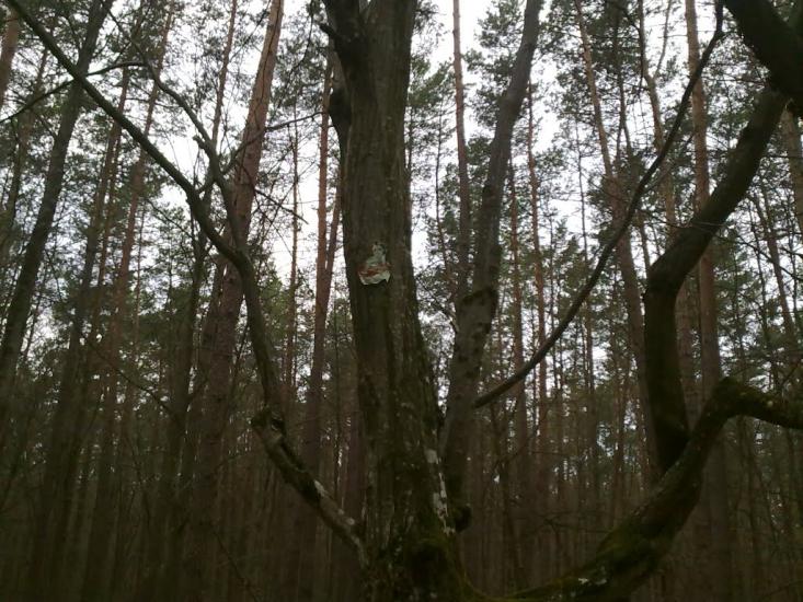 Хоровиця з panoramio.com - Хоровиця