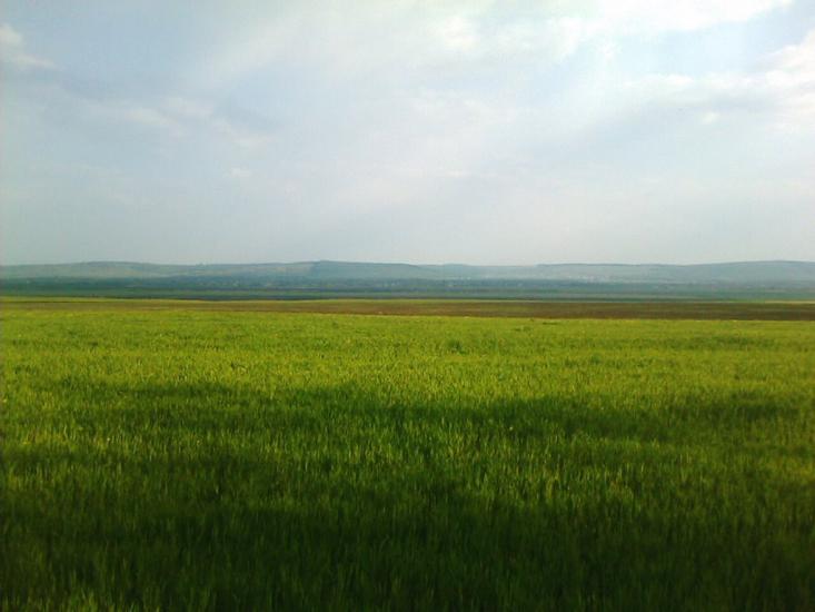 Ванчиківці з panoramio.com - Ванчиковцы