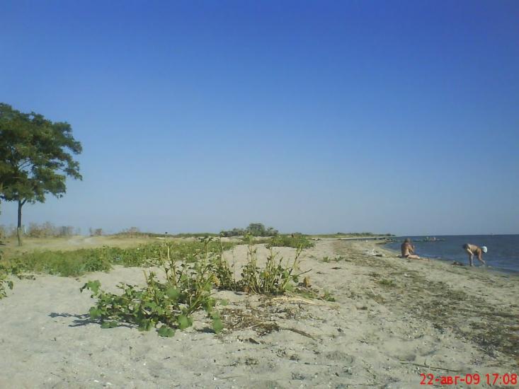 Солончаки з panoramio.com - Solonchaky