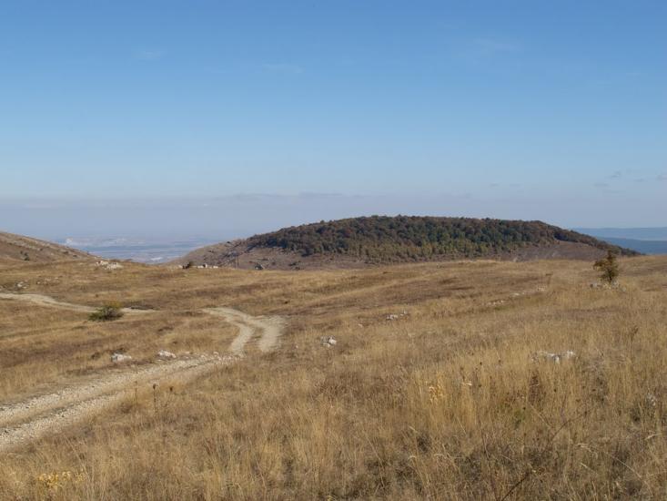 Пчолине з panoramio.com - Пчелиное