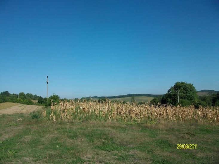 Тарасівці з panoramio.com - Тарасовцы