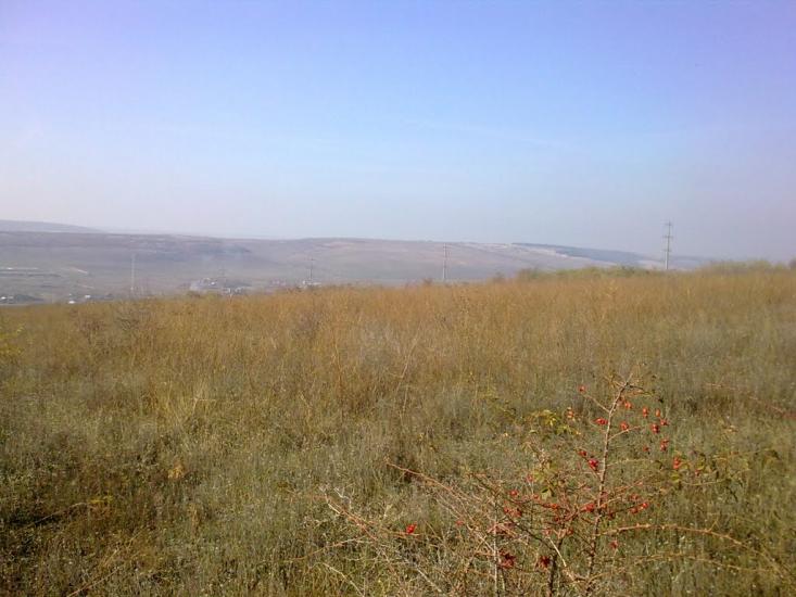 Фрунзівка з panoramio.com - Фрунзівка