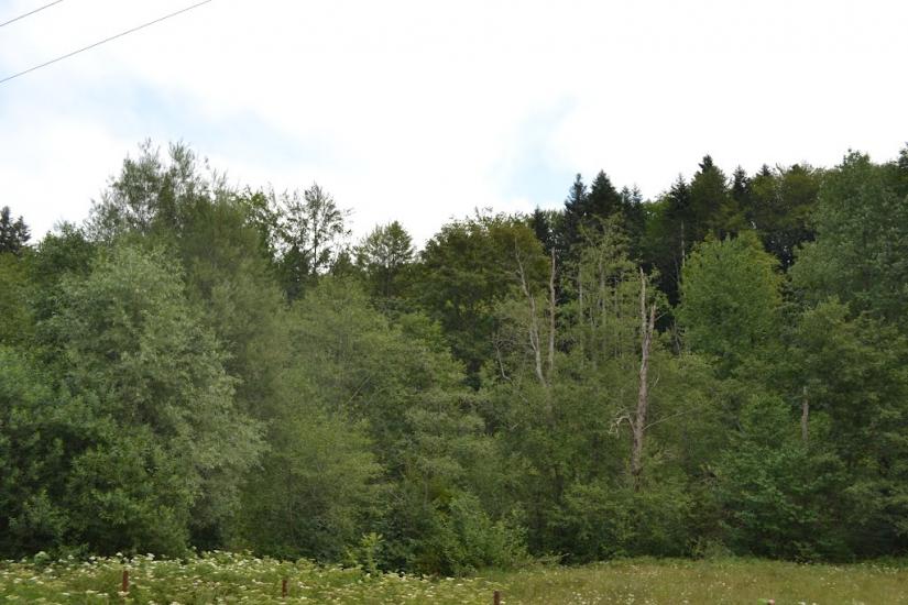 Мигове з panoramio.com - Мигове
