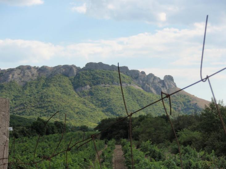 Лісне з panoramio.com - Лісне