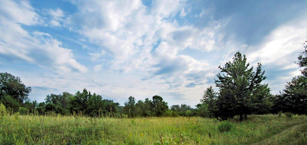 Букине з panoramio.com - Bukyne
