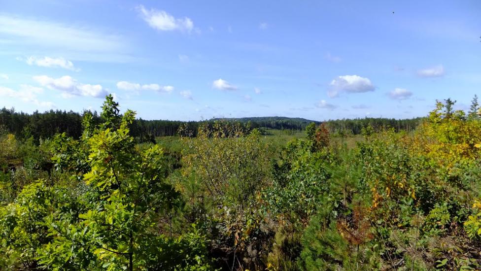 Нова Мощаниця з panoramio.com - Новая Мощаница