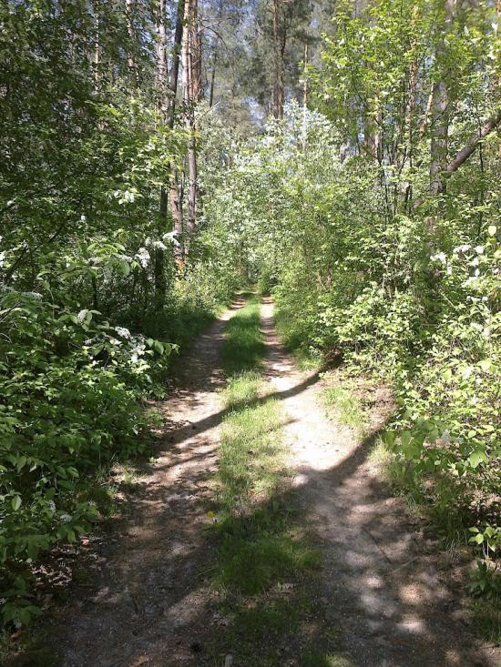 Собичеве з panoramio.com - Собичево