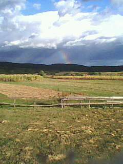 Лецовиця - Лецовиця