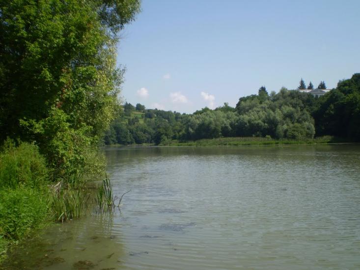 Муровані Курилівці з panoramio.com - Муровані Курилівці