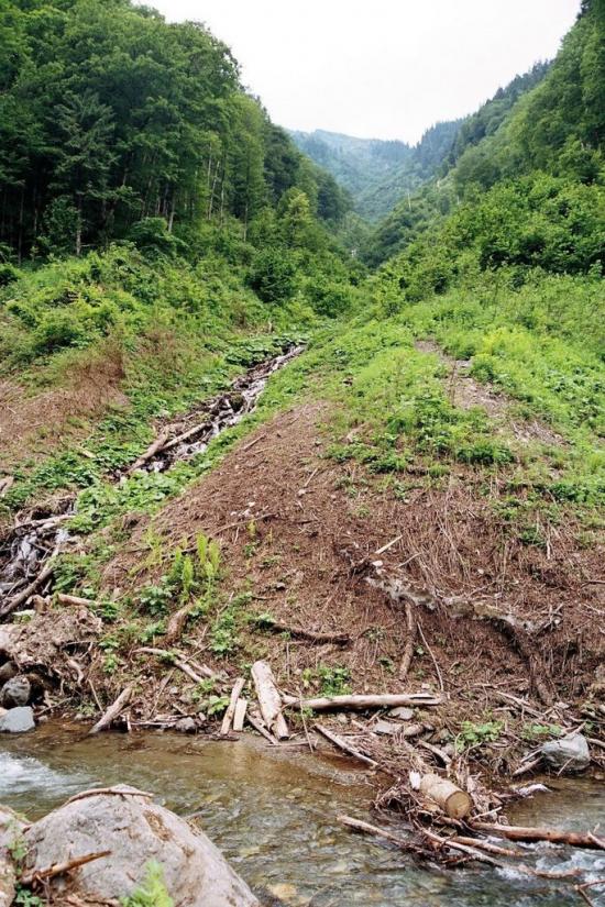 Богдан з panoramio.com - Богдан