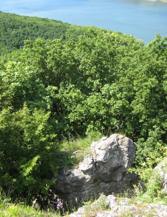Гораївка з panoramio.com - Гораевка