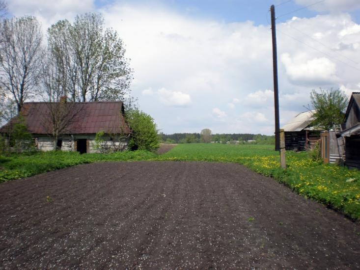 Облапи з panoramio.com - Oblapy