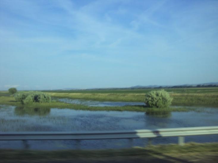 Новосільське з panoramio.com - Novosilske
