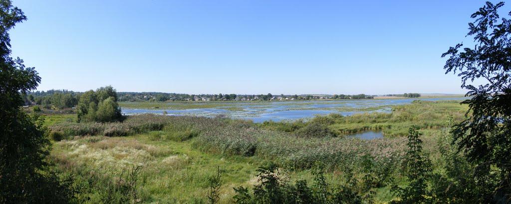 Бар з panoramio.com - Bar