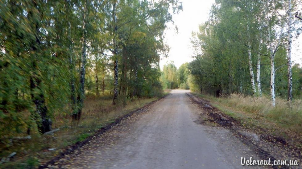 Липники з panoramio.com - Липники