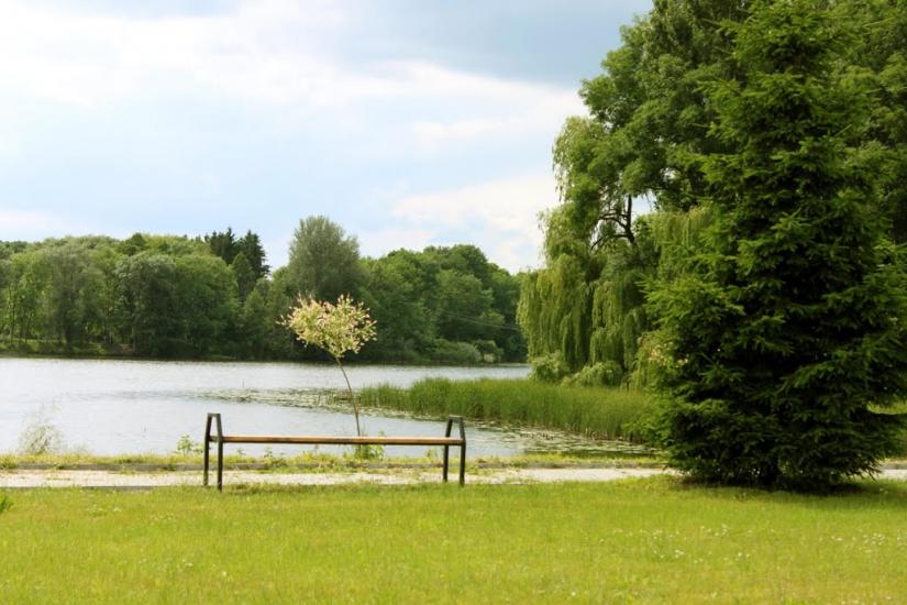 Млинів з panoramio.com - Mlyniv