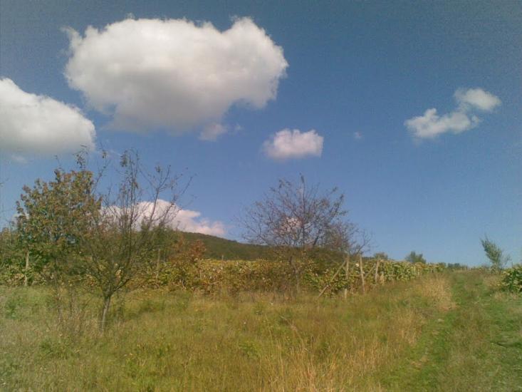 Холмовець з panoramio.com - Холмовець