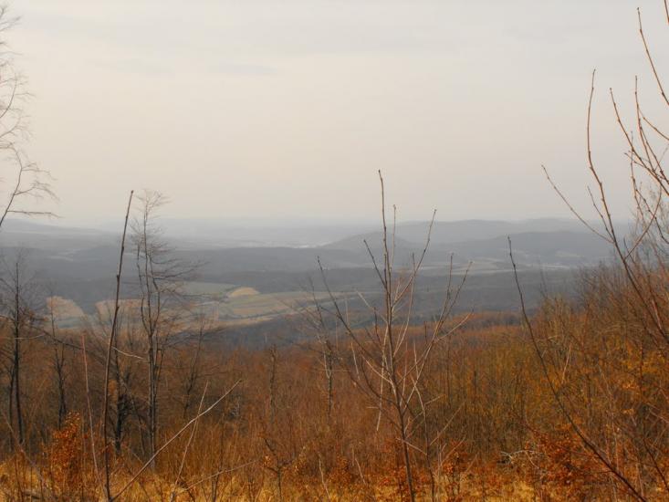 Забрідь з panoramio.com - Забрідь