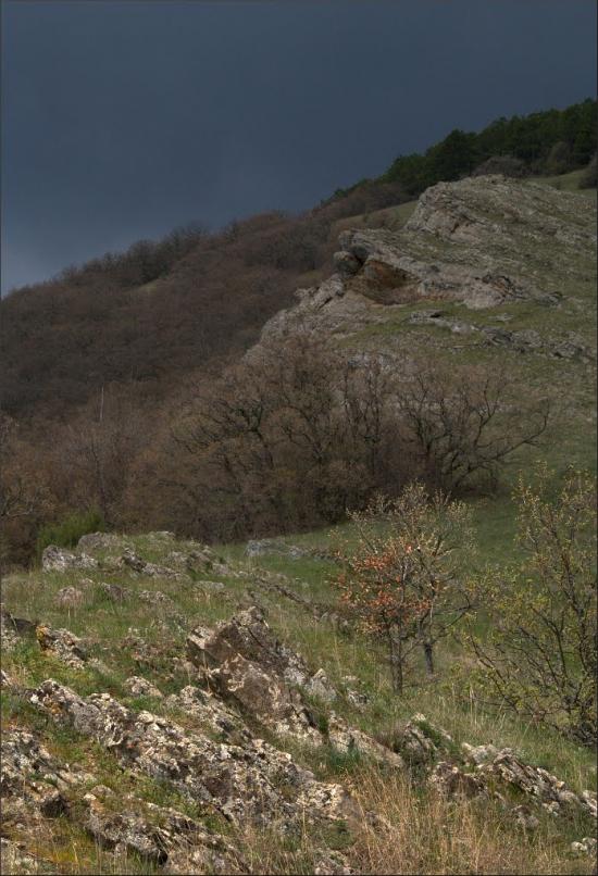 Лісне з panoramio.com - Лісне