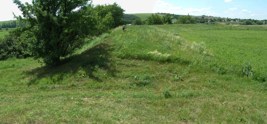 Бушеве з panoramio.com - Busheve