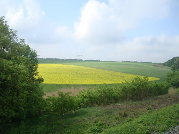 Нестерівці з panoramio.com - Нестерівці