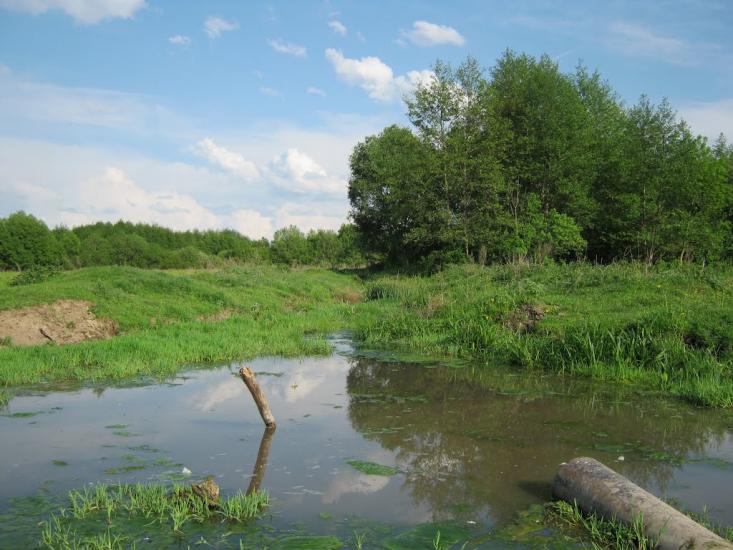 Олександрівка з panoramio.com - Oleksandrivka