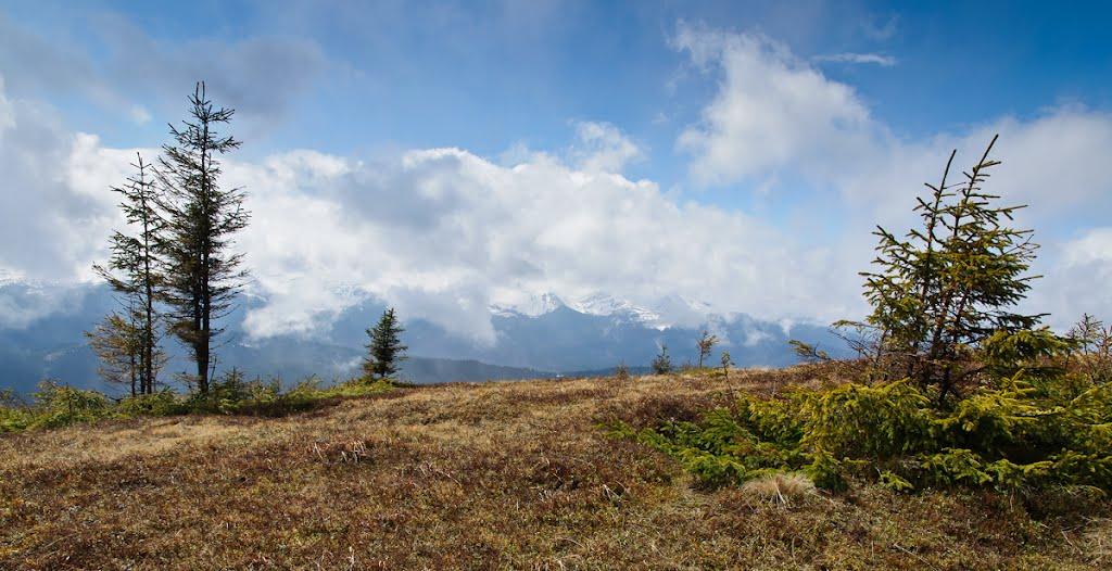 Кривопілля з panoramio.com - Кривопілля