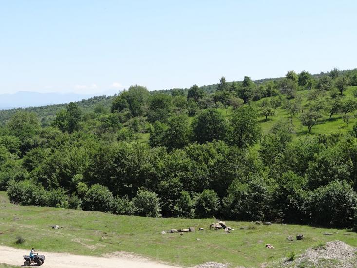 Тячів з panoramio.com - Тячів