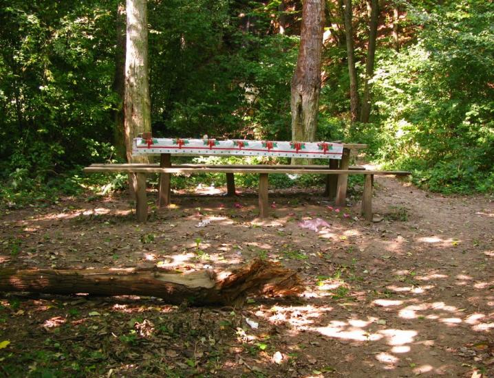 Іване-Золоте з panoramio.com - Ivane-Zolote