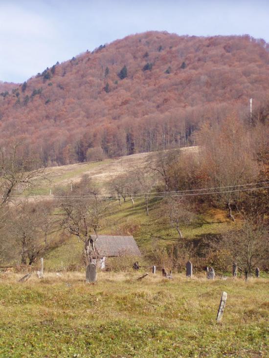 Ставне з panoramio.com - Ставне